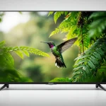 smart tv 50 4k philips 19