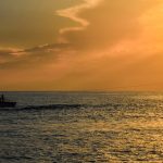 seguro para divorciados