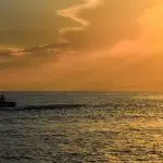 seguro para divorciados